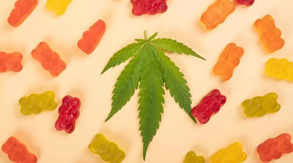 5 Things Everyone Should Know About Delta 8 Gummies